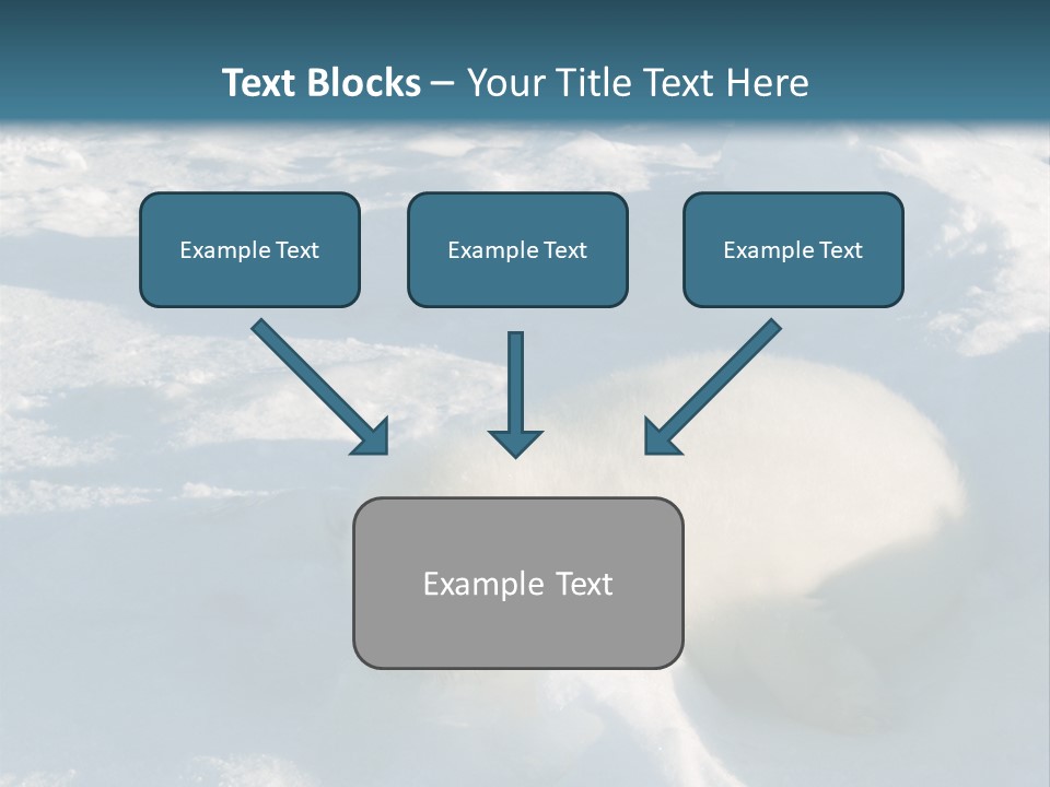 Baby Harp Seal Pup Enjoys Sun On Ice Floe In North Atlantic PowerPoint Template