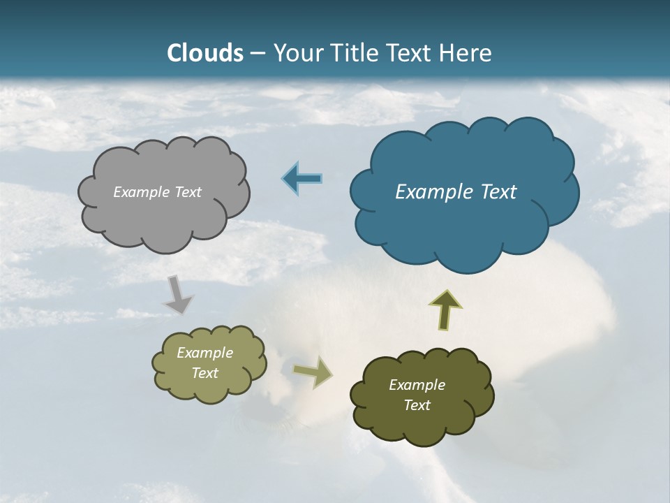 Baby Harp Seal Pup Enjoys Sun On Ice Floe In North Atlantic PowerPoint Template