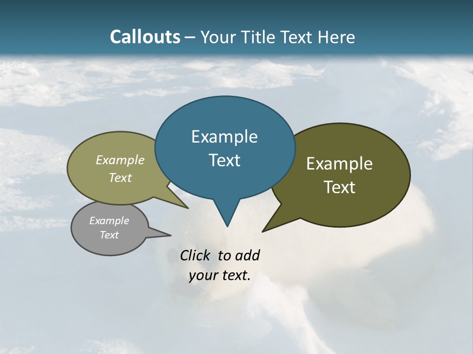 Baby Harp Seal Pup Enjoys Sun On Ice Floe In North Atlantic PowerPoint Template