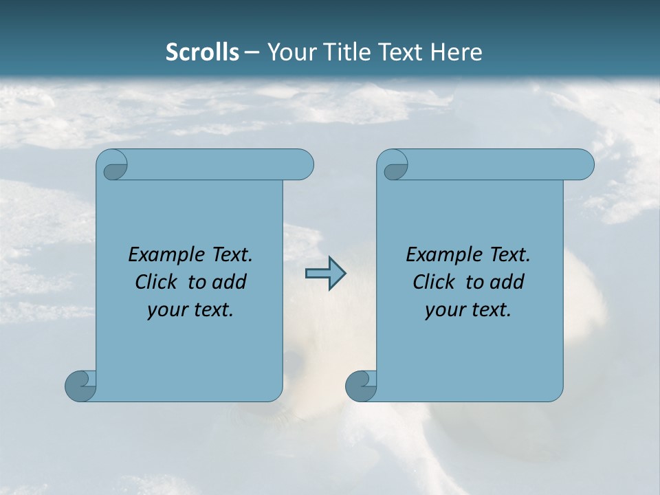 Baby Harp Seal Pup Enjoys Sun On Ice Floe In North Atlantic PowerPoint Template