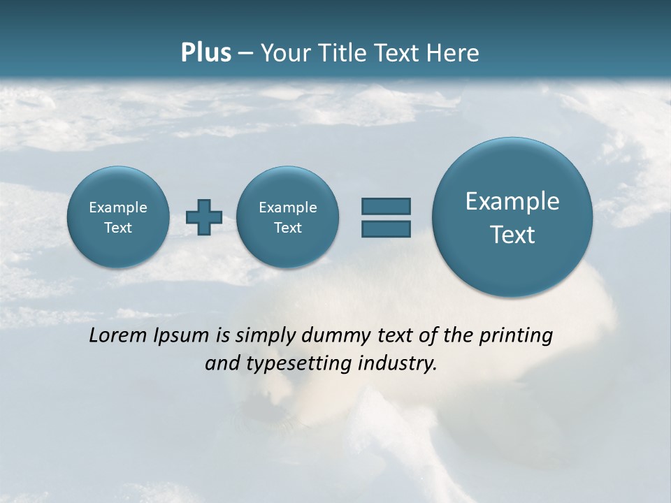Baby Harp Seal Pup Enjoys Sun On Ice Floe In North Atlantic PowerPoint Template