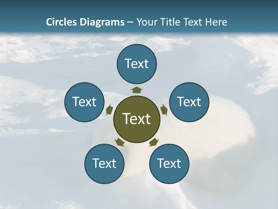 Baby Harp Seal Pup Enjoys Sun On Ice Floe In North Atlantic PowerPoint Template