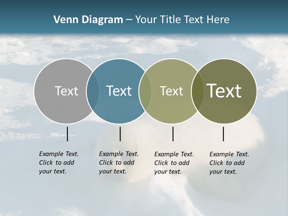 Baby Harp Seal Pup Enjoys Sun On Ice Floe In North Atlantic PowerPoint Template