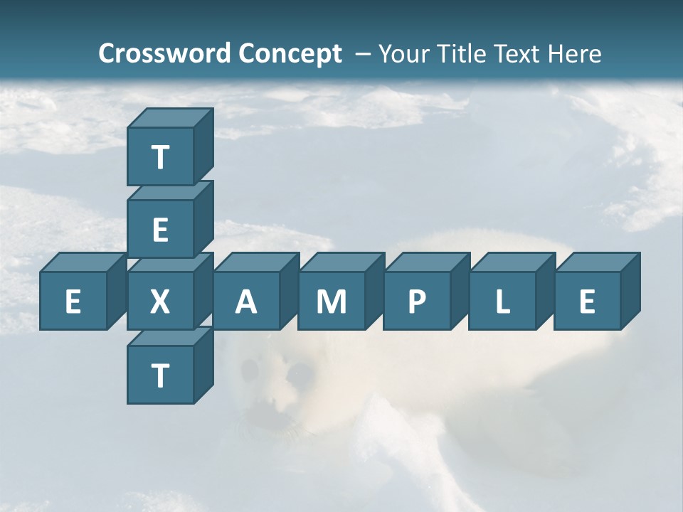 Baby Harp Seal Pup Enjoys Sun On Ice Floe In North Atlantic PowerPoint Template