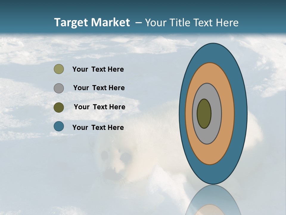 Baby Harp Seal Pup Enjoys Sun On Ice Floe In North Atlantic PowerPoint Template