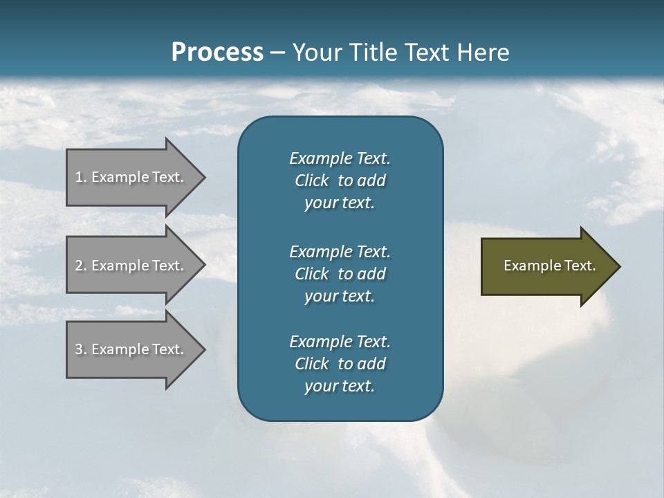 Baby Harp Seal Pup Enjoys Sun On Ice Floe In North Atlantic PowerPoint Template