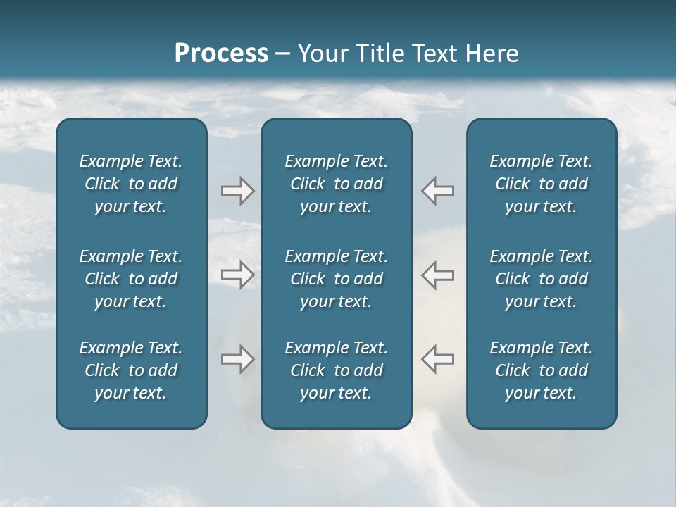 Baby Harp Seal Pup Enjoys Sun On Ice Floe In North Atlantic PowerPoint Template