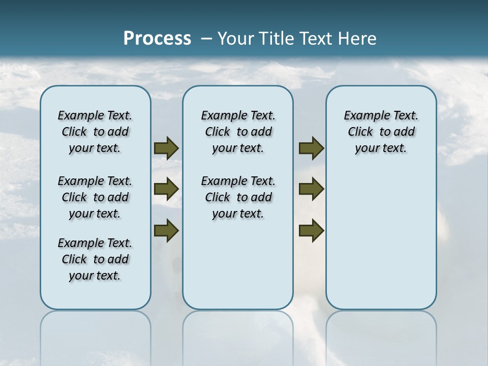 Baby Harp Seal Pup Enjoys Sun On Ice Floe In North Atlantic PowerPoint Template