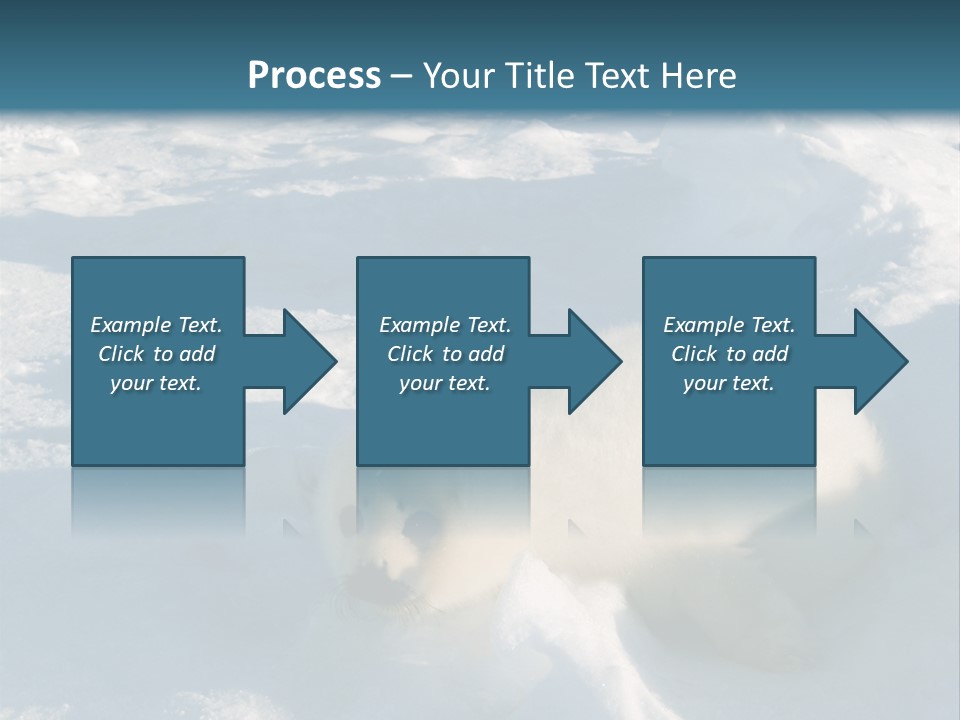 Baby Harp Seal Pup Enjoys Sun On Ice Floe In North Atlantic PowerPoint Template