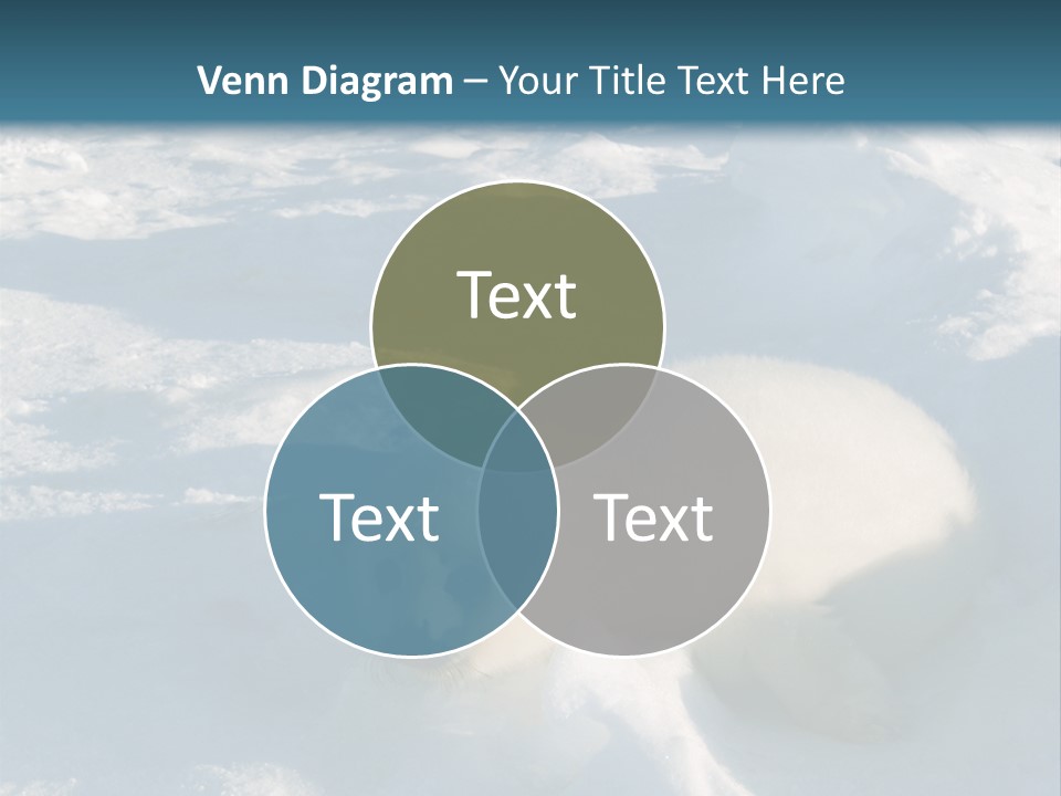 Baby Harp Seal Pup Enjoys Sun On Ice Floe In North Atlantic PowerPoint Template