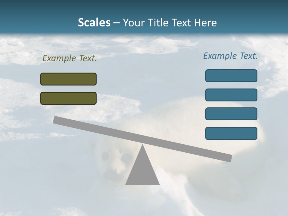 Baby Harp Seal Pup Enjoys Sun On Ice Floe In North Atlantic PowerPoint Template