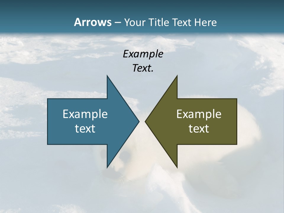 Baby Harp Seal Pup Enjoys Sun On Ice Floe In North Atlantic PowerPoint Template