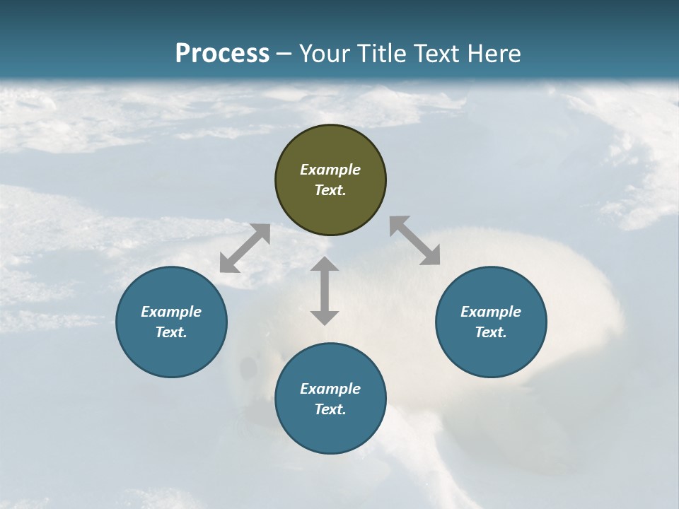 Baby Harp Seal Pup Enjoys Sun On Ice Floe In North Atlantic PowerPoint Template