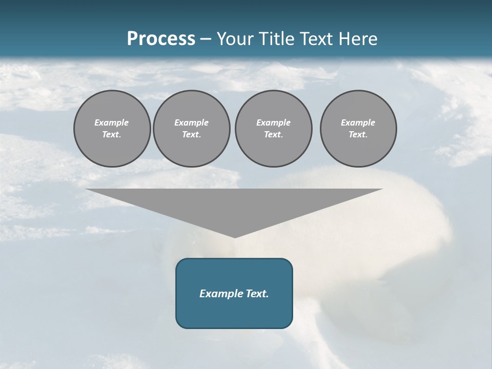 Baby Harp Seal Pup Enjoys Sun On Ice Floe In North Atlantic PowerPoint Template