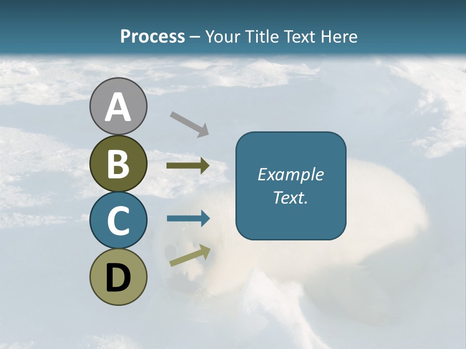 Baby Harp Seal Pup Enjoys Sun On Ice Floe In North Atlantic PowerPoint Template