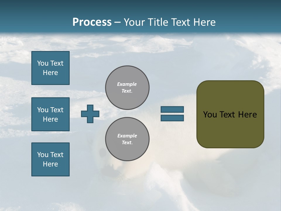 Baby Harp Seal Pup Enjoys Sun On Ice Floe In North Atlantic PowerPoint Template