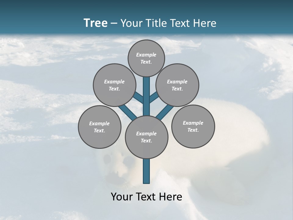 Baby Harp Seal Pup Enjoys Sun On Ice Floe In North Atlantic PowerPoint Template