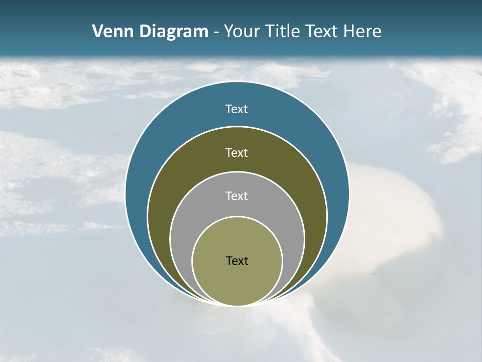 Baby Harp Seal Pup Enjoys Sun On Ice Floe In North Atlantic PowerPoint Template