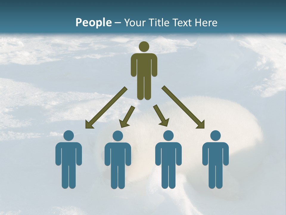 Baby Harp Seal Pup Enjoys Sun On Ice Floe In North Atlantic PowerPoint Template