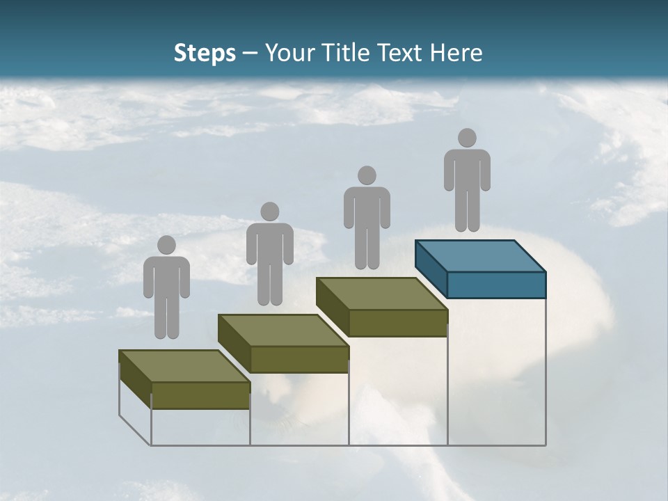 Baby Harp Seal Pup Enjoys Sun On Ice Floe In North Atlantic PowerPoint Template