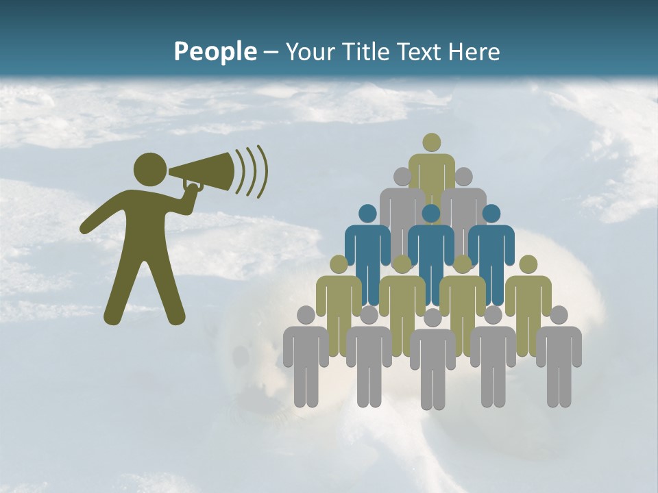 Baby Harp Seal Pup Enjoys Sun On Ice Floe In North Atlantic PowerPoint Template