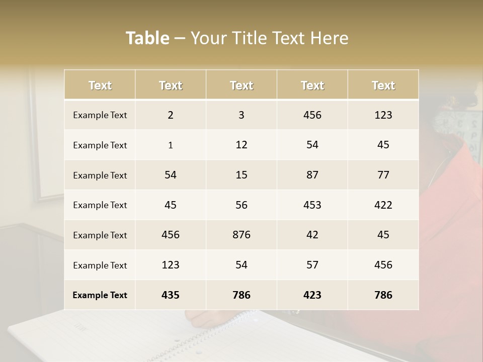 Young Girl And Teacher At Computer PowerPoint Template
