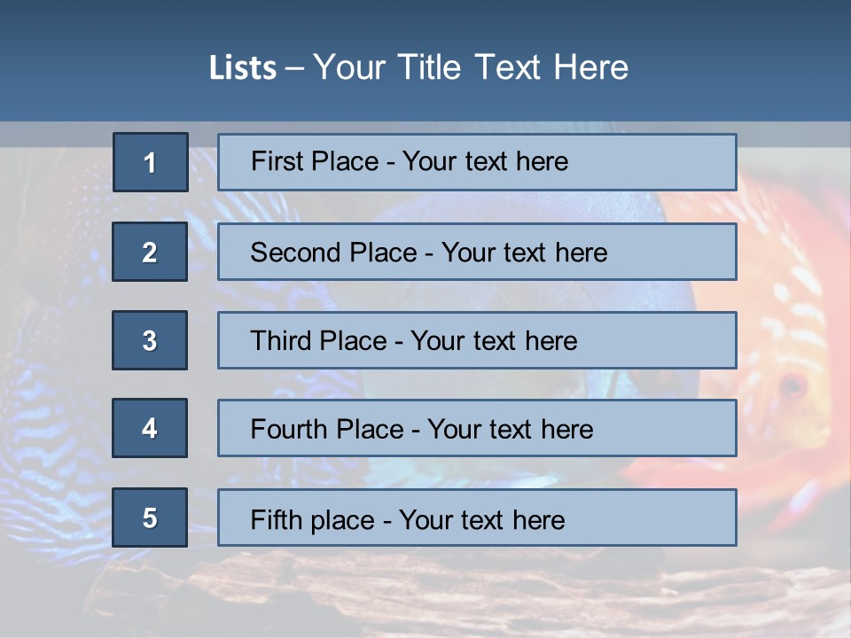 Colorful Fish From The Spieces Symphysodon Discus PowerPoint Template