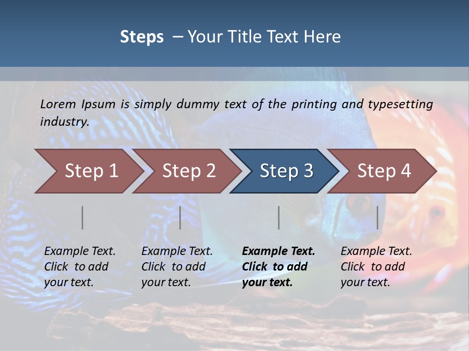 Colorful Fish From The Spieces Symphysodon Discus PowerPoint Template