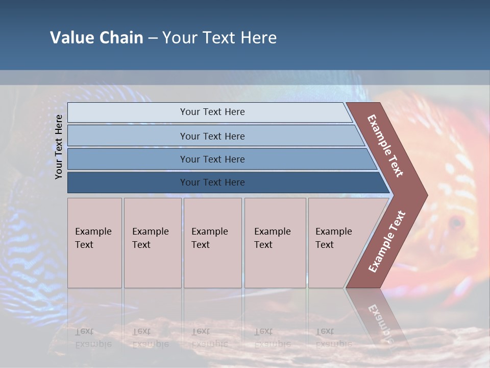Colorful Fish From The Spieces Symphysodon Discus PowerPoint Template