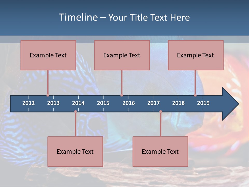 Colorful Fish From The Spieces Symphysodon Discus PowerPoint Template