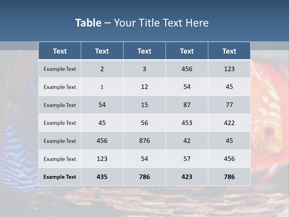 Colorful Fish From The Spieces Symphysodon Discus PowerPoint Template