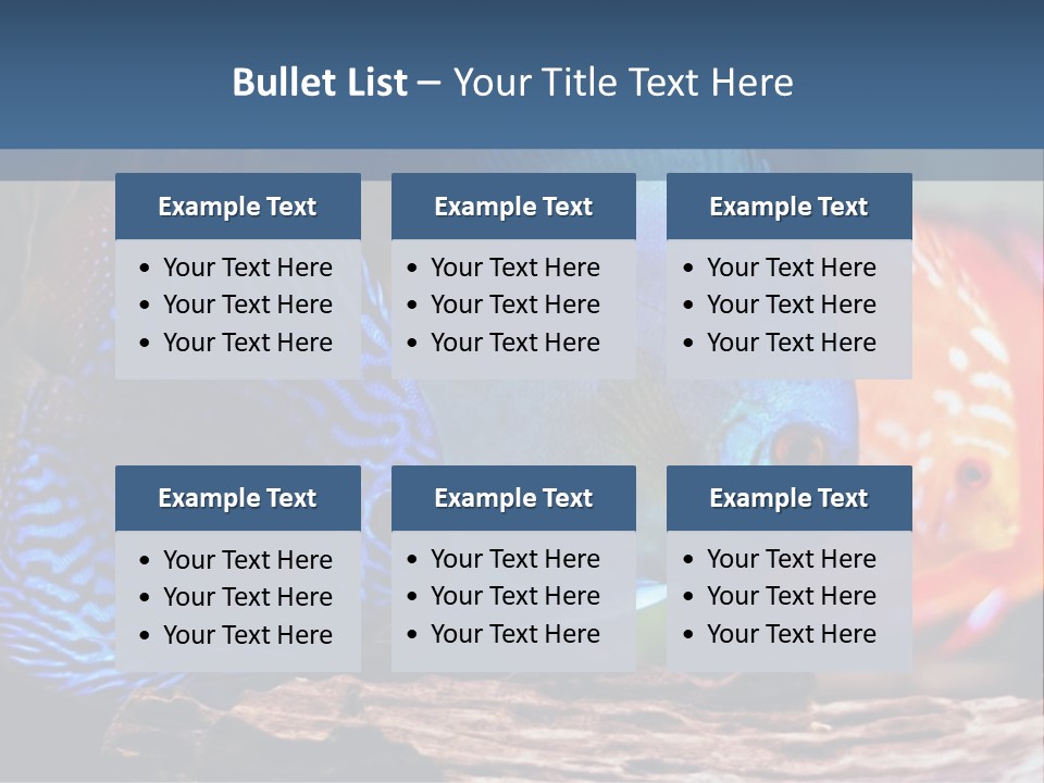 Colorful Fish From The Spieces Symphysodon Discus PowerPoint Template