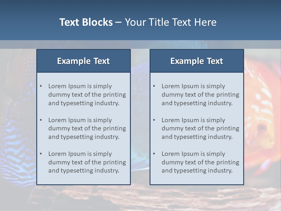 Colorful Fish From The Spieces Symphysodon Discus PowerPoint Template