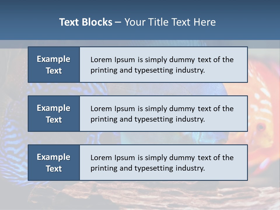 Colorful Fish From The Spieces Symphysodon Discus PowerPoint Template