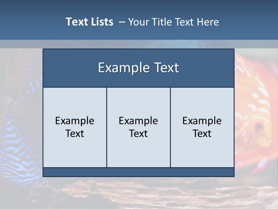 Colorful Fish From The Spieces Symphysodon Discus PowerPoint Template