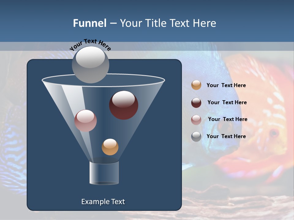 Colorful Fish From The Spieces Symphysodon Discus PowerPoint Template