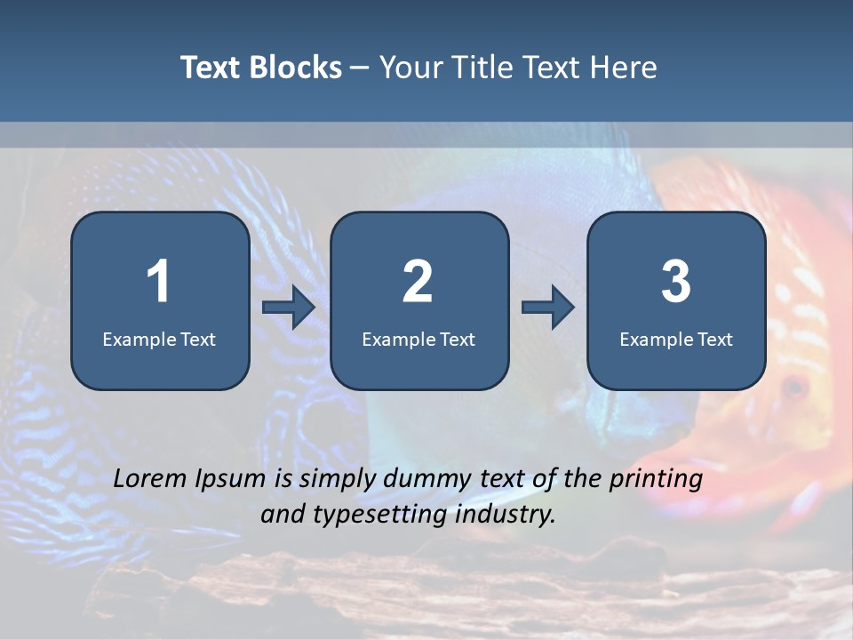 Colorful Fish From The Spieces Symphysodon Discus PowerPoint Template
