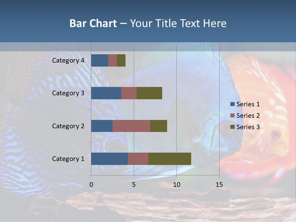 Colorful Fish From The Spieces Symphysodon Discus PowerPoint Template