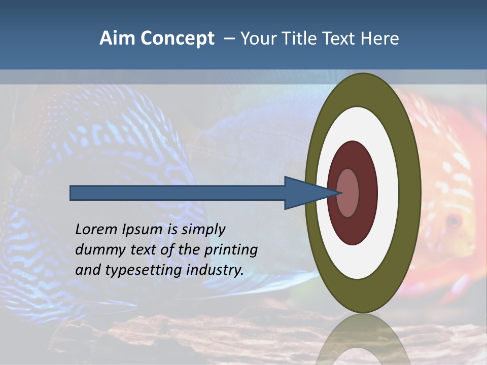 Colorful Fish From The Spieces Symphysodon Discus PowerPoint Template