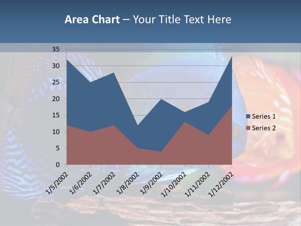 Colorful Fish From The Spieces Symphysodon Discus PowerPoint Template