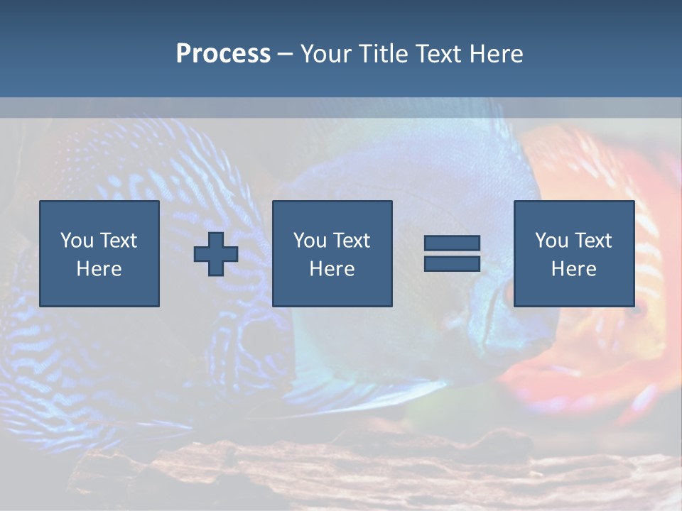Colorful Fish From The Spieces Symphysodon Discus PowerPoint Template