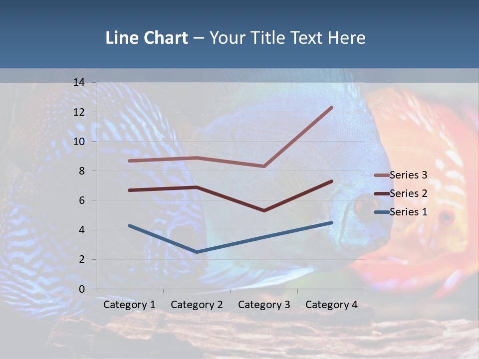 Colorful Fish From The Spieces Symphysodon Discus PowerPoint Template