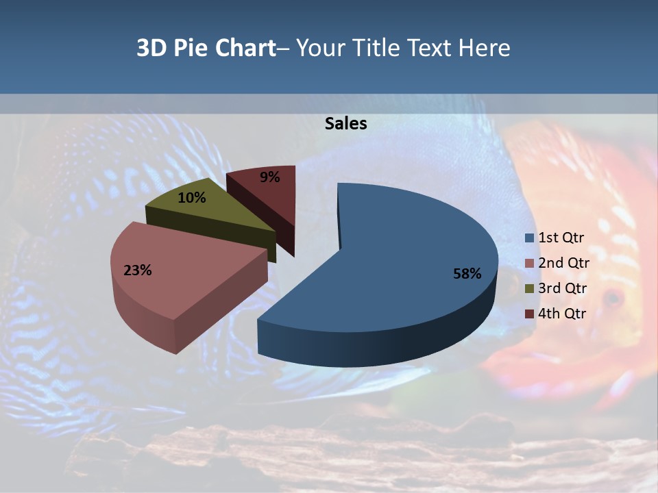 Colorful Fish From The Spieces Symphysodon Discus PowerPoint Template