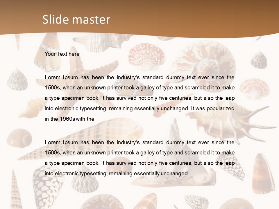An Image Of Seashells On White Background PowerPoint Template