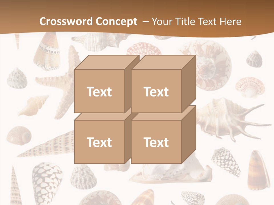 An Image Of Seashells On White Background PowerPoint Template