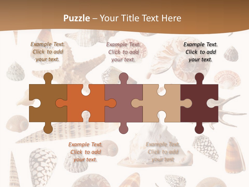 An Image Of Seashells On White Background PowerPoint Template