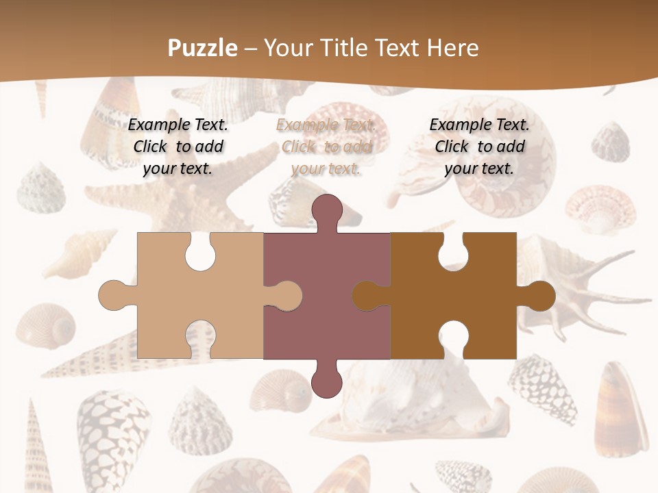 An Image Of Seashells On White Background PowerPoint Template