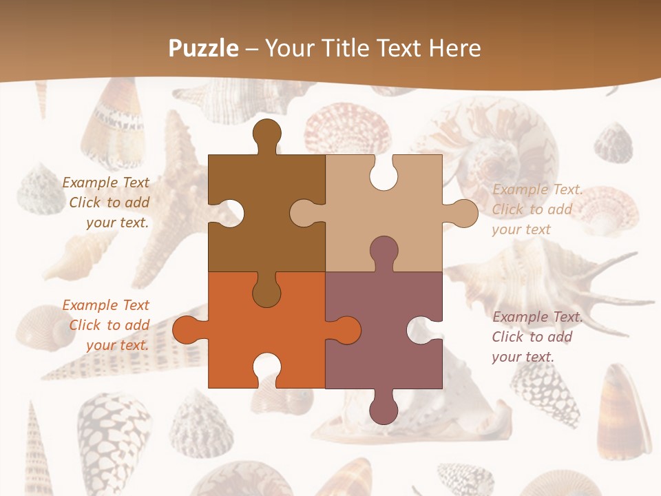 An Image Of Seashells On White Background PowerPoint Template