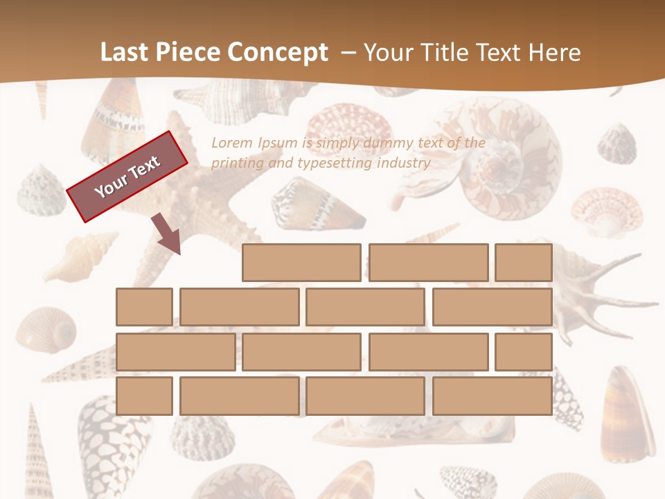 An Image Of Seashells On White Background PowerPoint Template