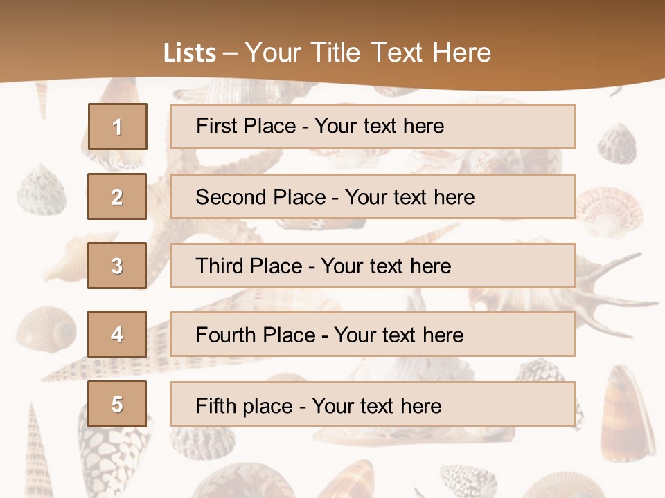 An Image Of Seashells On White Background PowerPoint Template